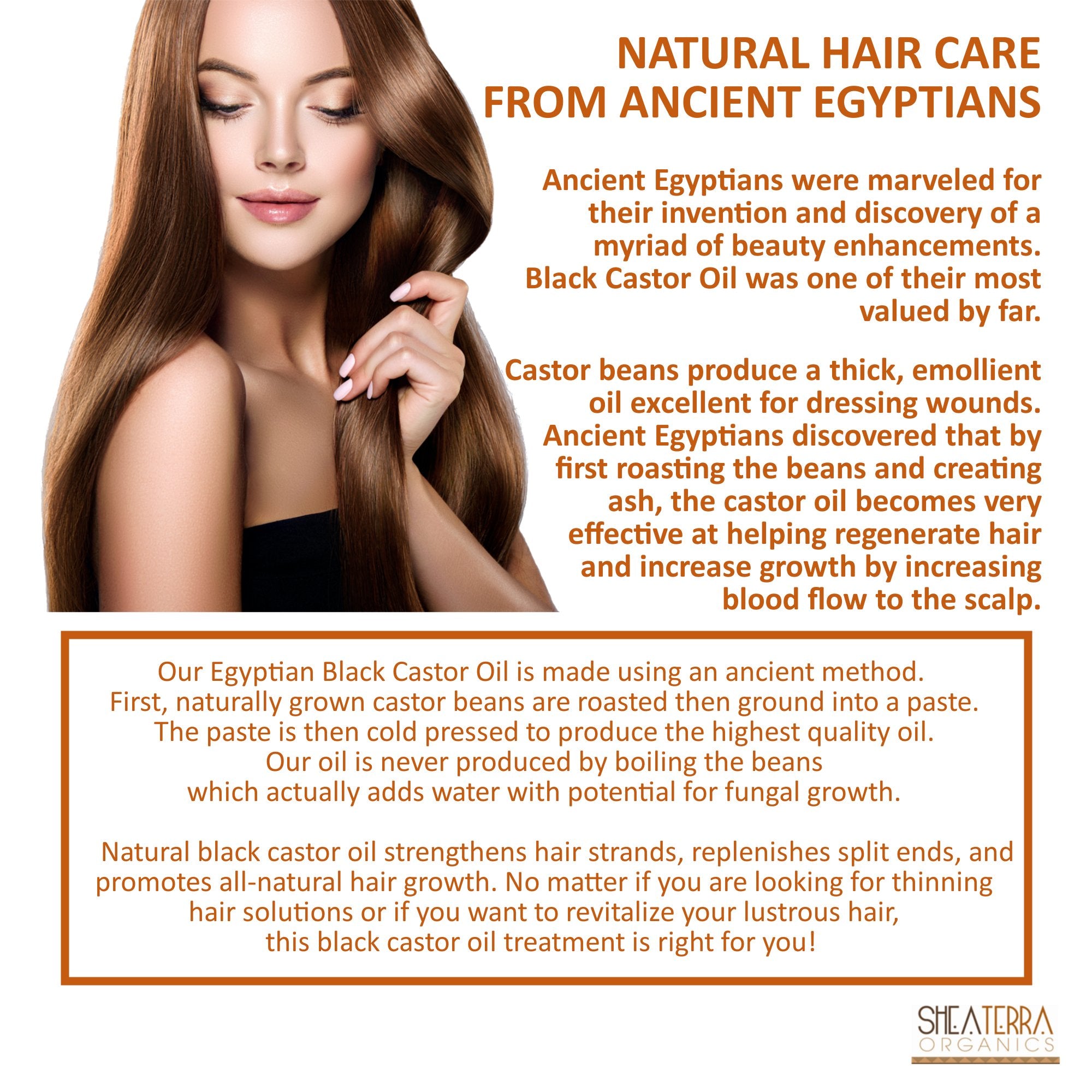 Shea Terra Organics 100 Percent Pure Egyptian Black Castor Extra Virgin Oil – Argan and Amla | All-Natural Strengthening and Conditioning Hair Oil for Healthy Hair Growth and Scalp– 8 oz